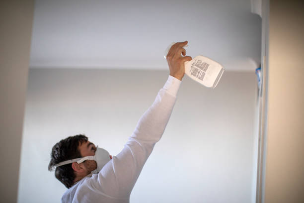 Best Crawl Space Mold Removal  in Homestead, PA