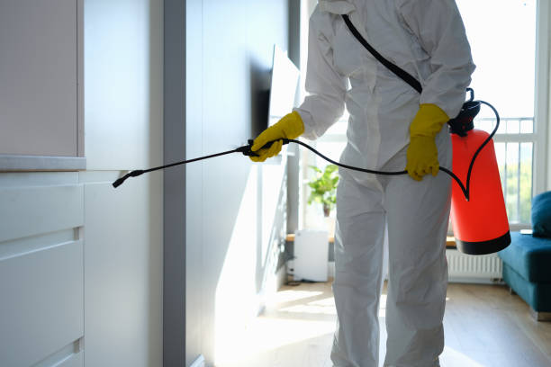 Best Certified Mold Removal  in Homestead, PA