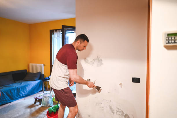 Best Mold Removal Specialists  in Homestead, PA